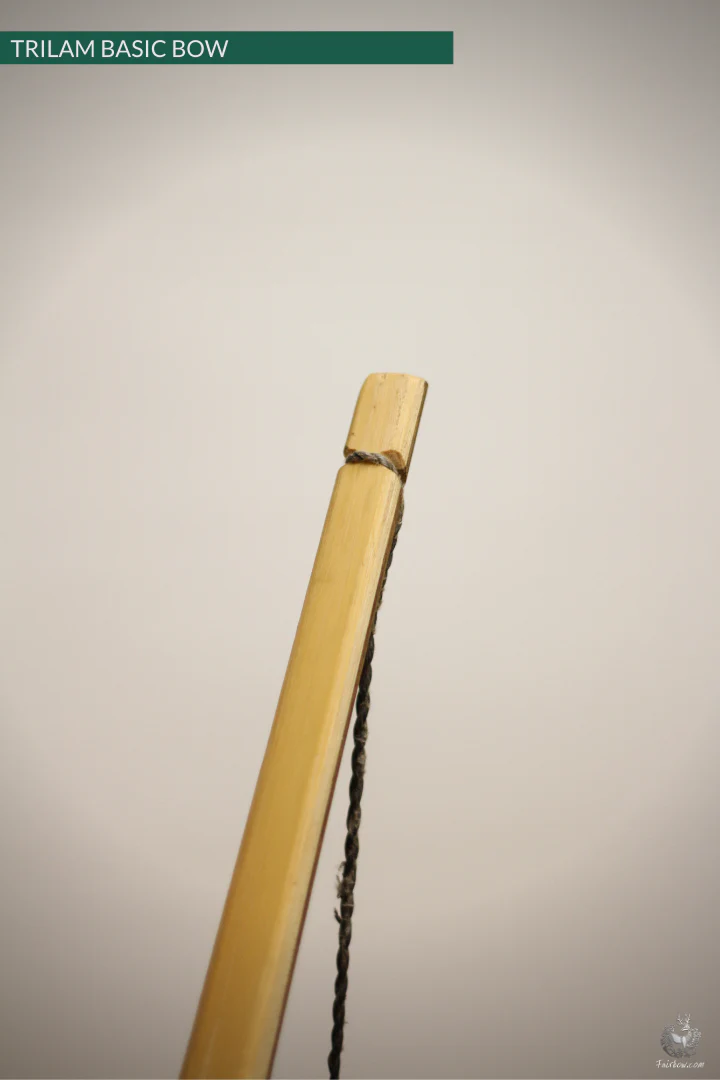 ENGLISH LONGBOW BASIC, GREENHEART SUPERCORE BAMBOO / HICKORY - Image 5