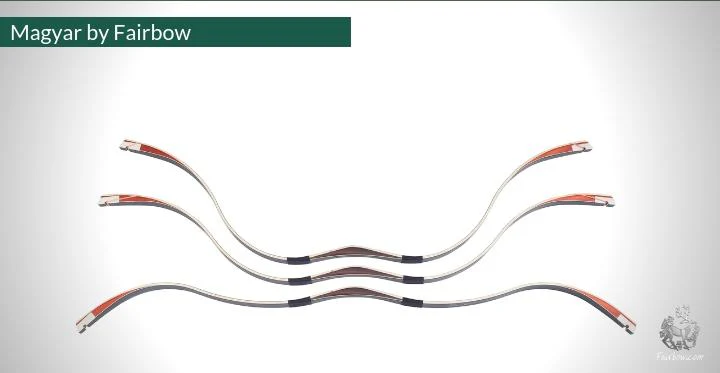 MAGYAR, 36 LBS @ 28 INCH, ROSEWOOD, PADOUK AND SUPERCORE - Image 8