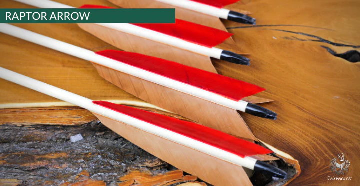 RAPTOR ARROW, SET OF 6 - Image 3