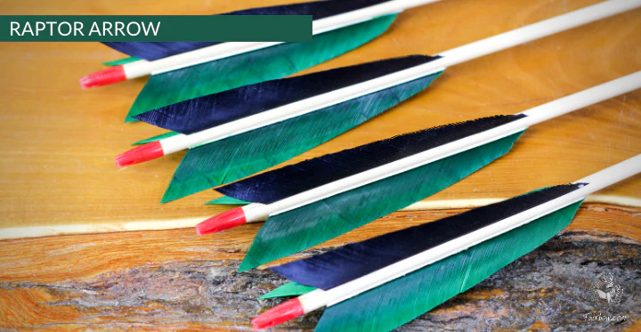 RAPTOR ARROW, SET OF 6 - Image 4