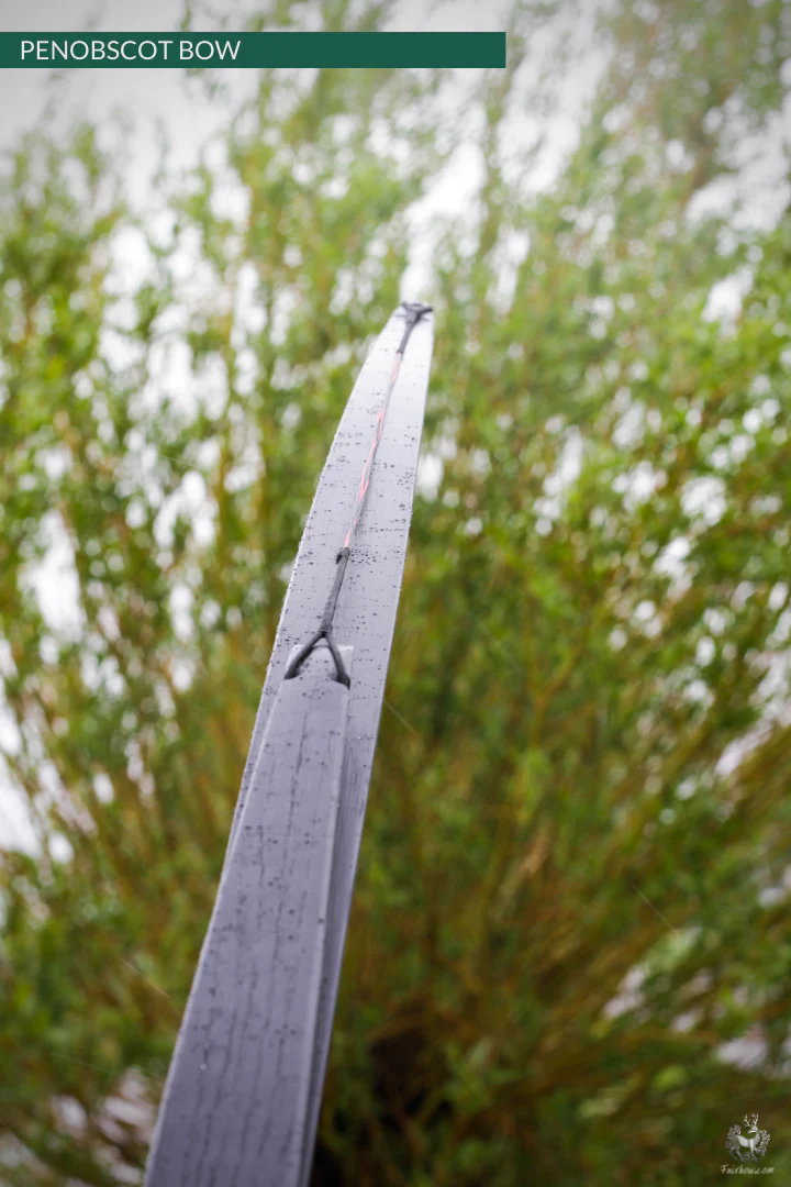 SELF HICKORY LONGBOW (AFB),   THE PENOBSCOT IN BLACK CUSTOM - Image 5