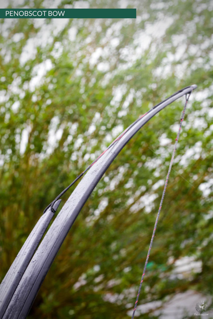 SELF HICKORY LONGBOW (AFB),   THE PENOBSCOT IN BLACK CUSTOM - Image 6