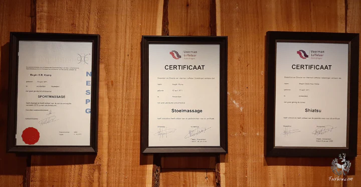 TRADITIONAL ARCHERY COACHING 1-ON-1 - Image 3